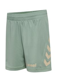 Ljusgröna atletiska shorts av slätt tyg, med elastisk midjeresår och beige chevronmönster på sidan med logodetalj.