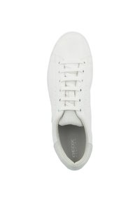 Sneaker in pelle bianca con punta rotonda, lati perforati e dettagli grigi sul tallone. Presenta chiusura con lacci e collare imbottito.