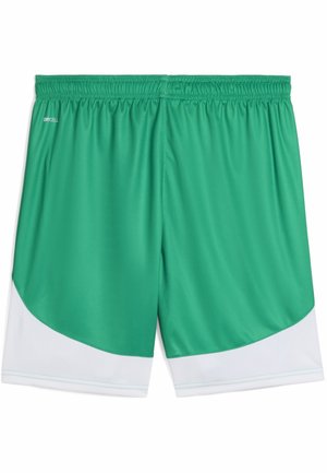 SK RAPID WIEN FUSSBALLSHORTS - Article de supporter d'équipe de club - sport green white