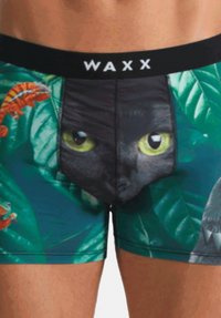 Boxers pour hommes avec un visage de chat noir et des yeux jaunes sur un fond de feuilles vertes, ornés de motifs de lézards colorés, ceinture élastique WAXX.