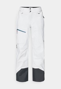 ALPINE GORE-TEX PANTS - Ski pants - antarctica