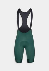 Non sélectionné, pargasite green