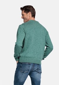 Groene gebreide trui met een ronde hals en geribbelde zoom, voorzien van lange mouwen en een ontspannen pasvorm. Draagt met blauwe denim jeans.