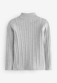 Next ROLL NECK - REGULAR FIT - Džemperis - grey