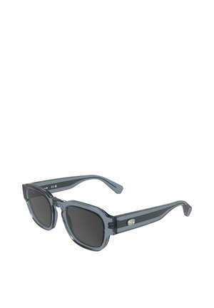 Sunglasses - tranparent light grey/blue
