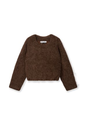 Suéter corto marrón hecho de un material aterciopelado, con mangas largas, cuello redondo y una textura suave. La etiqueta interior dice "10 DAYS".