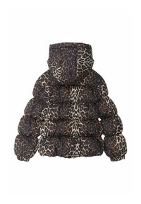 The New Winter jacket - leopard aop