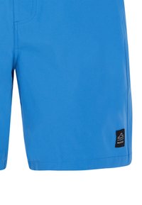 Protest PRTBAKY - Shorts - gladio blue