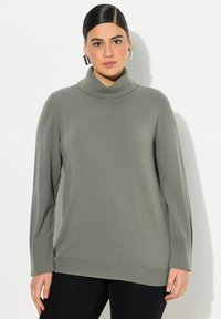 Langärmliger Rollkragenpullover in Hellgrün, aus weichem Strickstoff mit subtilen Rippdetails an den Manschetten und dem Saum.