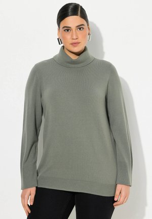 Pull à col roulé à manches longues en vert clair, en tissu tricoté doux avec des accents côtelés subtils aux poignets et à l'ourlet.