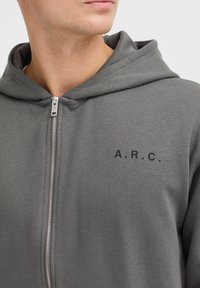 Solid SDHENNE - Zip-up sweatshirt - iron gate
