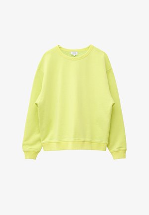 Lichtgroene trui met ronde hals, lange mouwen en geribbelde boorden en zoom, plat gelegd op een witte achtergrond.