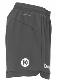 Grau Sportshorts aus leichtem Material. Mit elastischem Bund, Seitentasche und weißen Logostreifen. Glatte Textur.