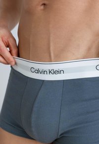 Gray Calvin Klein boxer briefs with a white waistband featuring black lettering. Fabric appears soft and stretchy, designed for comfort.