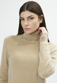 Beige Rollkragenpullover aus einem weichen, flauschigen Material. Er hat lange Ärmel und eine figurbetonte Passform, die ein gemütliches Erscheinungsbild unterstreicht.