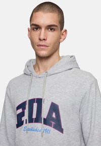 Grå huvtröja i mjukt tyg, med en stor mörkblå "FILA"-logotyp med en rosa kant och "Etablerad 1911" i blå text.