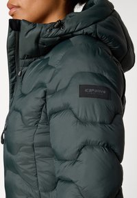 Icepeak BANDIS - Ziemas mētelis - dark green