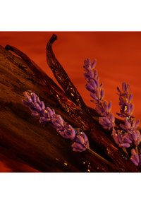 Primer plano de vainas de vainilla oscuras y ramitas de lavanda morada con gotas de agua sobre una superficie de madera texturizada contra un fondo naranja.