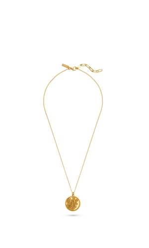 Fijne gouden ketting met een rond hangertje met een gedetailleerd reliëfdesign en een verstelbare sluiting met gekoppelde kettingverlenging.