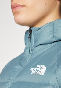 Artiškoj nuotraukai matomas žmogus, vilkintis mėlyną užtrauktuku užsegamą The North Face pūkinę striukę, rodančią logotipą ant krūtinės.