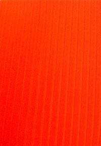 Passionata LIZ - Cuecas de biquíni - spicy red