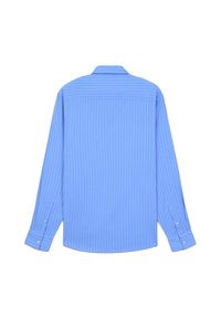 Helles blaues Langarmhemd mit vertikalen weißen Streifen. Verfügt über einen klassischen Kragen und knöpfbare Manschetten. Glattes Material mit taillierter Passform.
