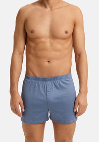 Ljusblå bomullsboxershorts med elastisk midja, frontknäppning och en slät textur. Inga mönster eller ytterligare accentueringsdetaljer synliga.