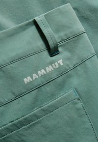 Mammut RUNBOLD ROLL - Kurze Sporthose - dark jade