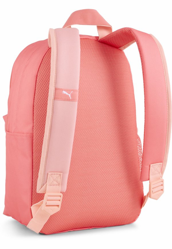 ESSENTIALS  – Tourenrucksack