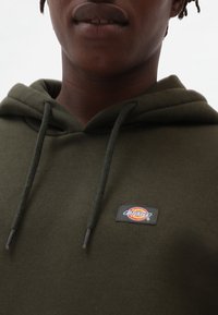 Sudadera color verde oliva de suave tejido con capucha ajustable. Presenta una etiqueta negra con un colorido logotipo de la marca en la parte frontal.