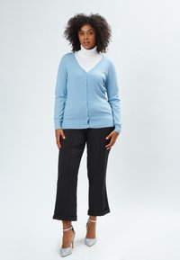 Hellblaues Cardigan mit V-Ausschnitt und Knopfverschluss, kombiniert mit schwarzen weiten Hosen und silbernen High Heels. Glatte Textur.