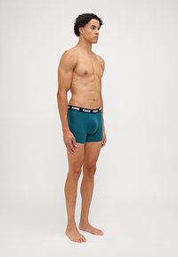Puma MEN EVERYDAY 3 PACK - Bokserbriefs - green combo