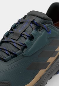 Adidas Terrex ANYLANDER R.RDY - Pohodniški čevlji - aurora ivy/core black/cardboard