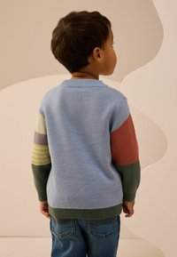 Jasnoniebieski sweter dzianinowy z kolorowymi rękawami w paski w kolorach zielonym, różowym, lawendowym i żółtym; ściągacz na kołnierzu i mankietach.