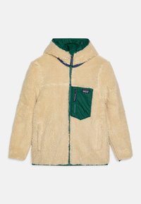 Patagonia REVERSIBLE READY FREDDY HOODY UNISEX - Casaco de inverno - conifer green