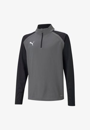 Grijze sportieve pullover met zwarte mouwen, halve ritskraag en gestructureerde zijpanelen. Bevat een wit logo op de linkerborst.