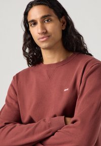 Pull marron en coton avec un col rond, des poignets côtelés et un petit logo blanc sur la poitrine. Texture lisse et coupe décontractée.