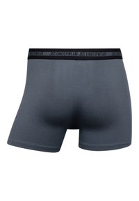 Grå boxer briefs lavet af blødt stof, med en sort elastisk talje, hvor mærket "JBS UNDERWEAR" er trykt i grå.