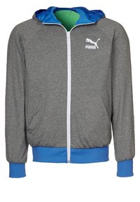 Grå zip-up hoodie med blå huva och nederkant, prydd med en vit Puma-logotyp på vänster bröst, tillverkad av mjuk tyg med känguru-fickor.