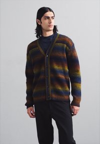 NN.07 VIGGO CARDIGAN - Chaqueta de punto - multi shades