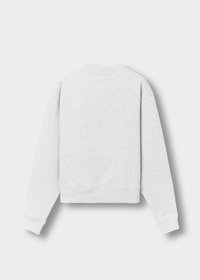 Light gray long-sleeve crewneck sweatshirt shown from the back, featuring ribbed cuffs and hem on a plain background.