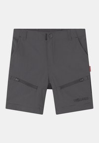 Grijze shorts gemaakt van lichtgewicht materiaal; voorzien van twee ritszakken, een elastische tailleband en een geborduurd logo op de voorkant links.