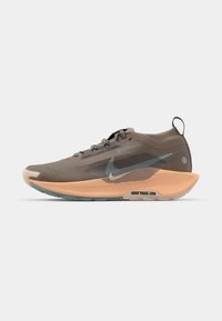 PEGASUS TRAIL 5 GORE-TEX - Chaussures de running - brown/cannon/orange chalk/pearl white