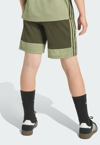 Olive green athletic shorts with a contrasting light green hem, three stripes on the sides, paired with black knee-high socks and sneakers.