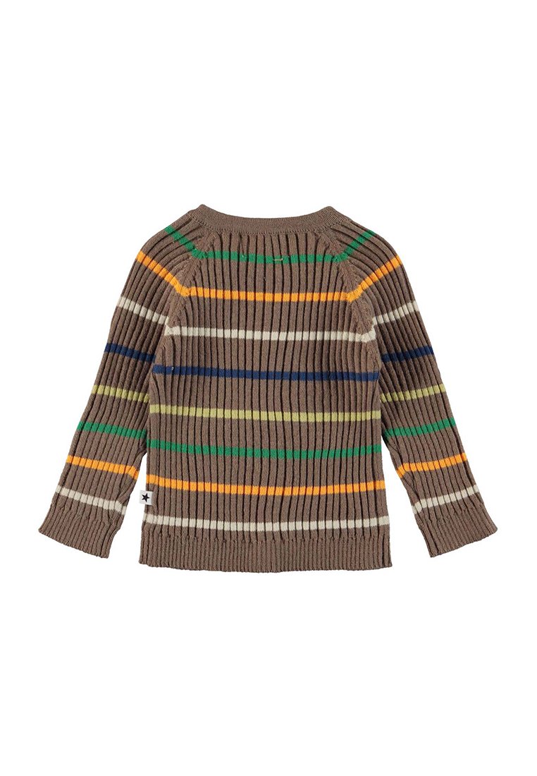 Pull en maille côtelée marron comportant des rayures horizontales multicolores vertes, oranges, jaunes, bleues et blanches. Manches longues avec un col rond.