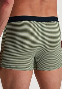 Calida NEW 3ER-PACK - Trunks - clover green