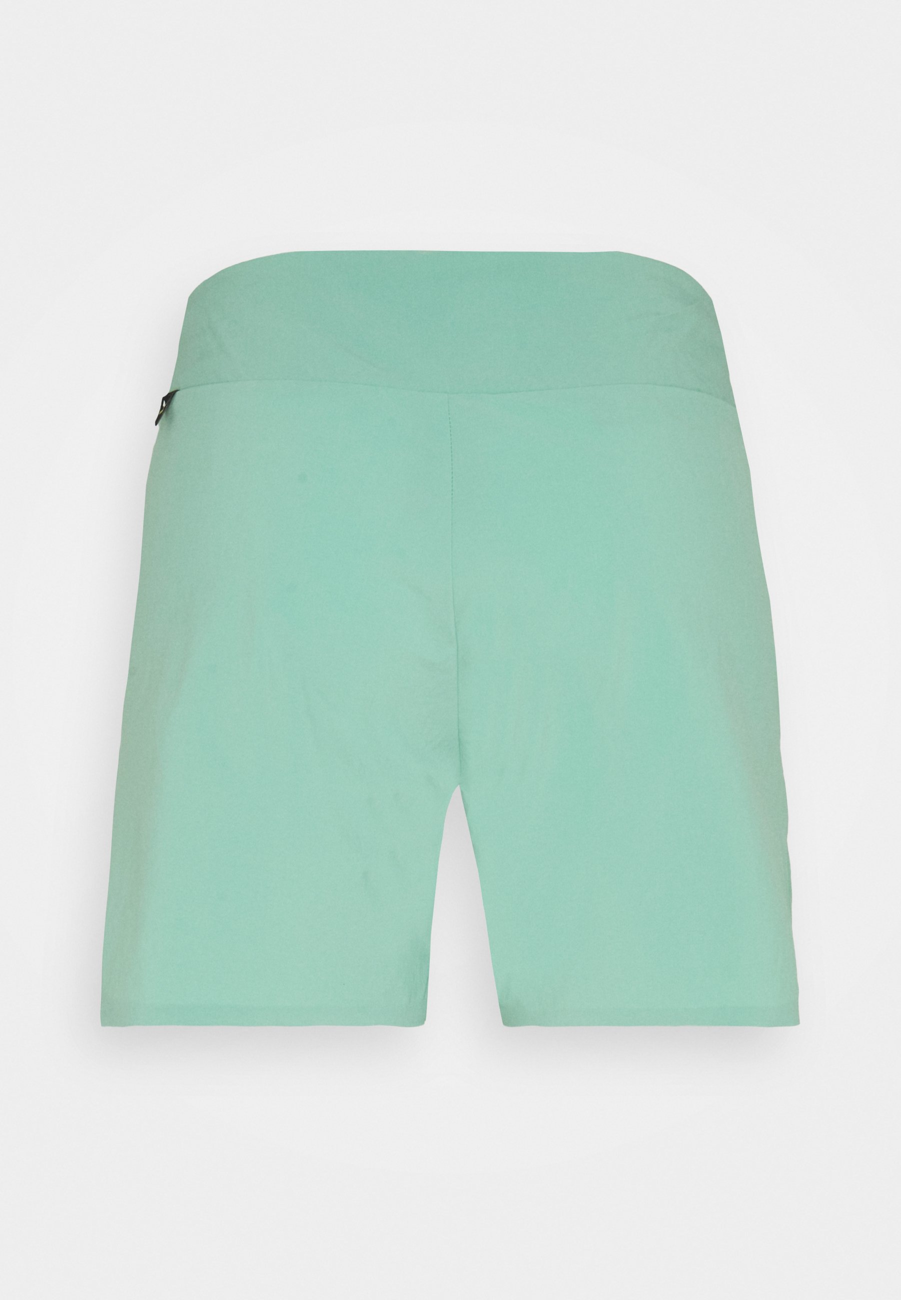 Salewa LAVAREDO SHORTS - Pantaloncini sportivi - feldspar green/verde -  Zalando.it