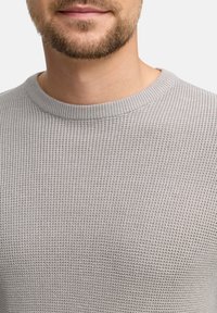 Pull en tricot gris clair avec un motif texturé, doté d'une encolure ronde côtelée et de manches courtes, fabriqué à partir d'un tissu doux et respirant.