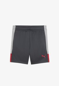 Επιλέχθηκε, gray echo-dusky gray-puma red