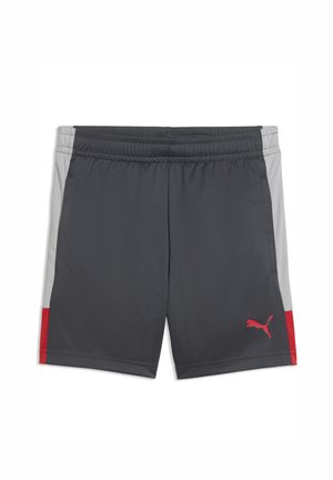 INDIVIDUALLIGA TRAINING  JR - Sport rövidnadrágok - gray echo-dusky gray-puma red